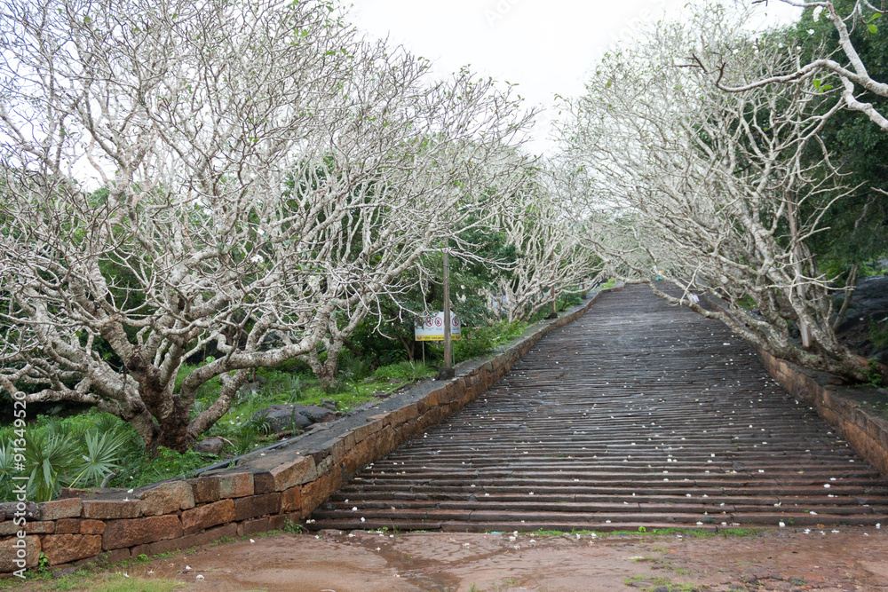 Trappen naar de tempel.