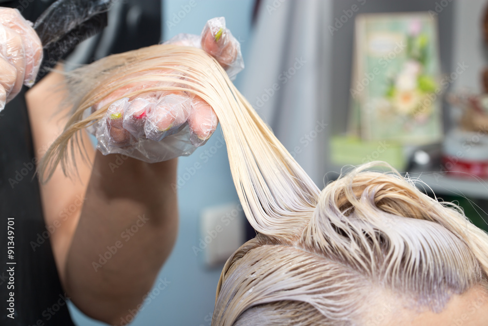 hair coloring in the salon - obrazy, fototapety, plakaty 