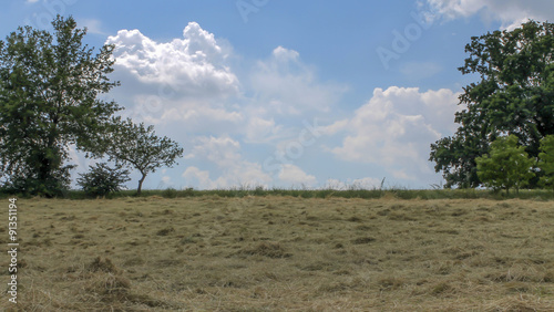 countryside landscape with hay photo