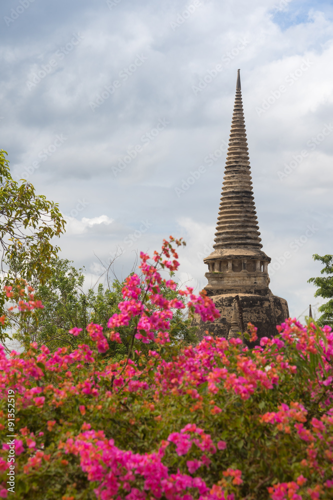 Fototapeta premium The old pagoda.