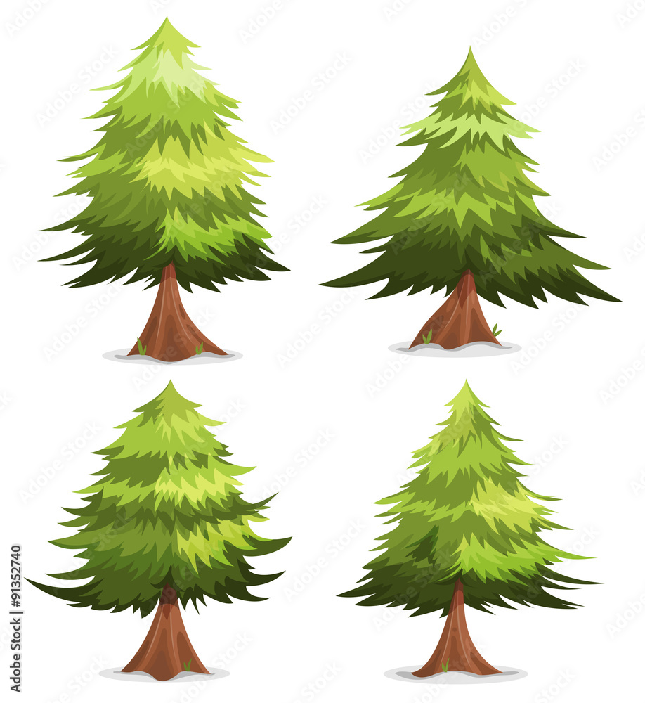 Fototapeta premium Pine Trees And Firs Set