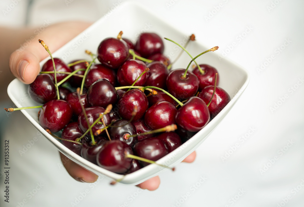 Hands holding a white bowl with ripe cherries. Shallow dof Hands holding a white bowl with ripe cherries. Shallow dof