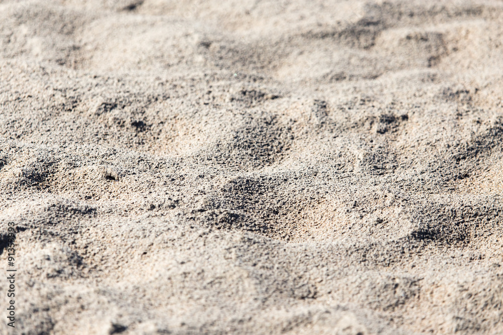 background of sand on the shore background of sand on the shore