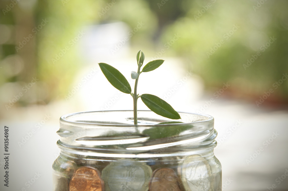 pot with coins saving concept pot with coins saving concept