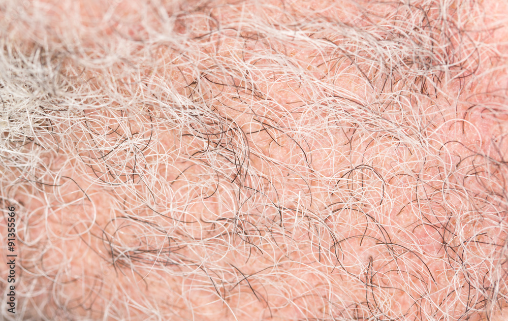 Fototapeta premium hair of the beard. close-up