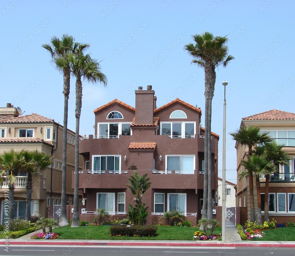 Brown house and palm trees