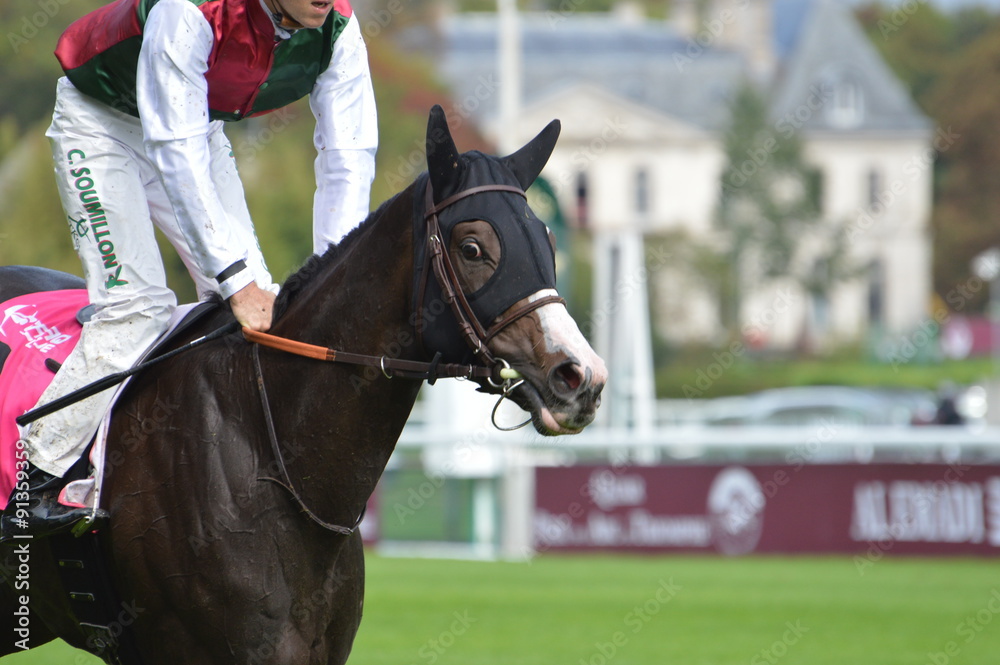 Obraz premium cheval de course