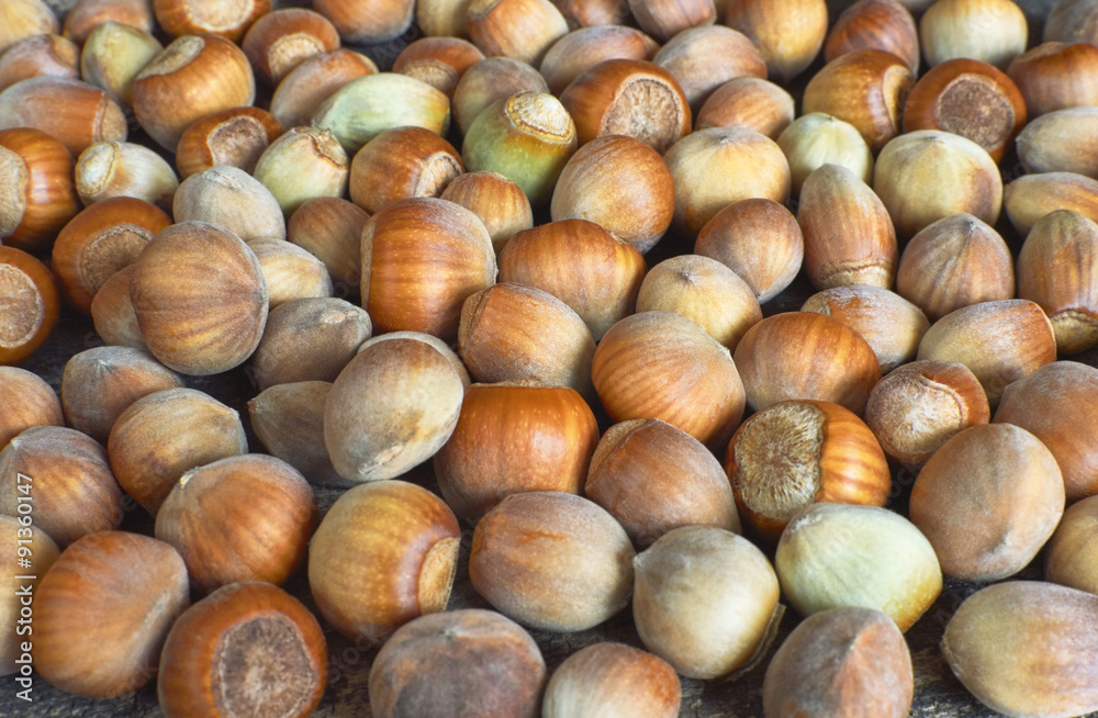 Fresh brown hazelnut as background. Fresh brown hazelnut as background.