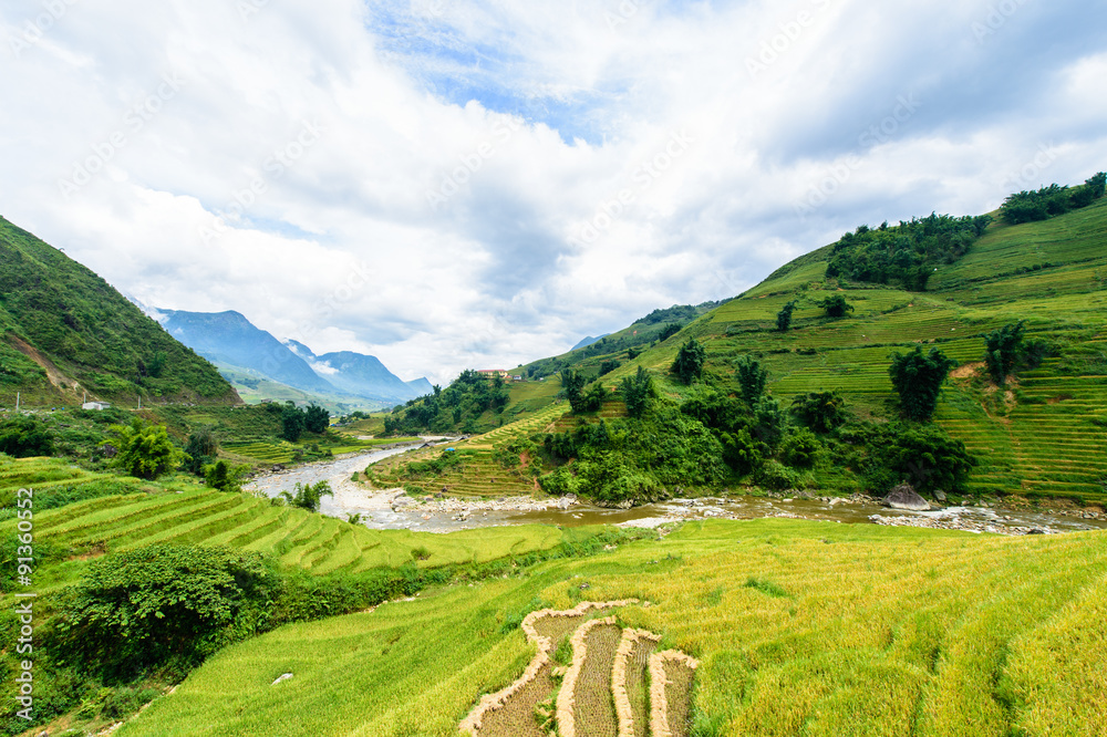 Rice fields on terraced in rainy season at SAPA, Lao Cai, Vietna