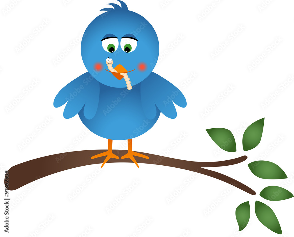 Blue Bird Eating a Worm Blue Bird Eating a Worm