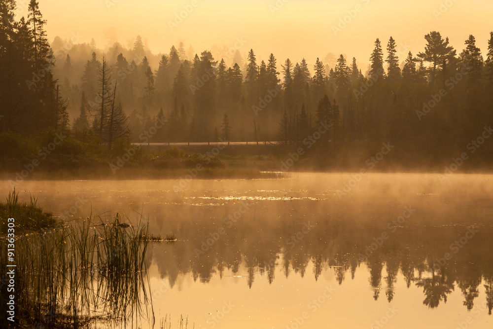 early morning sunrise and reflection of a forest in a river water early morning sunrise and reflection of a forest in a river water