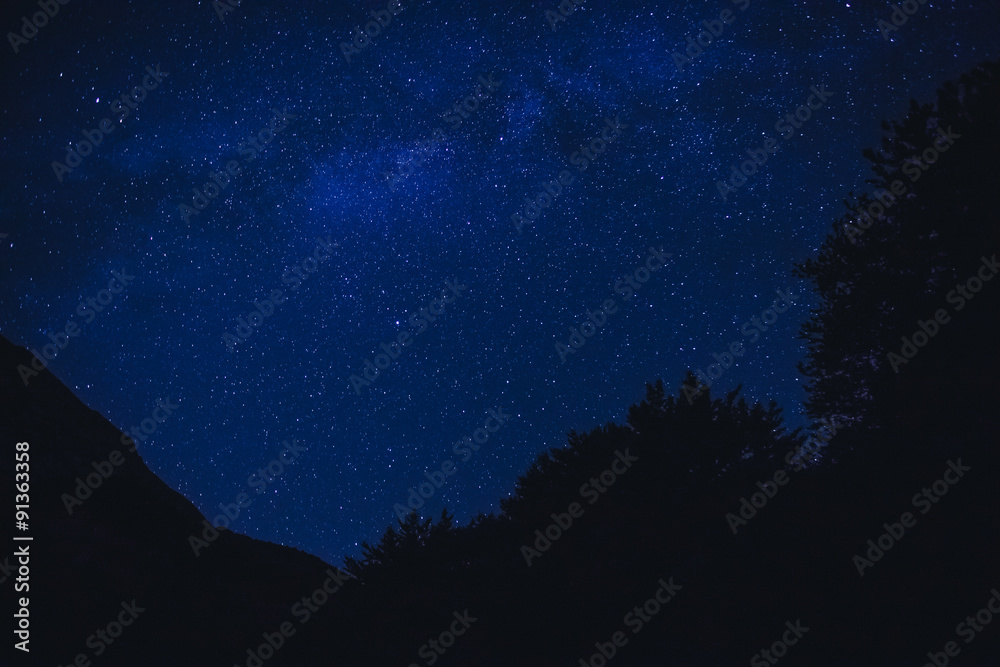 View of the Milky Way above the trees of a mountain in Italy