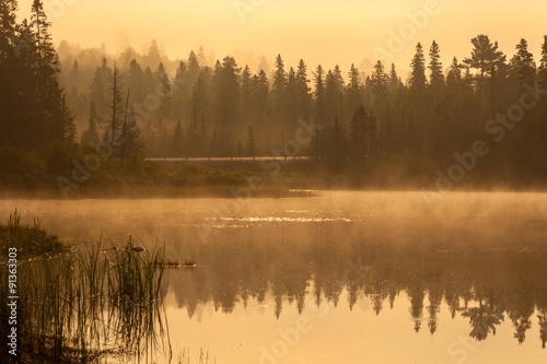 early morning sunrise and reflection of a forest in a river water