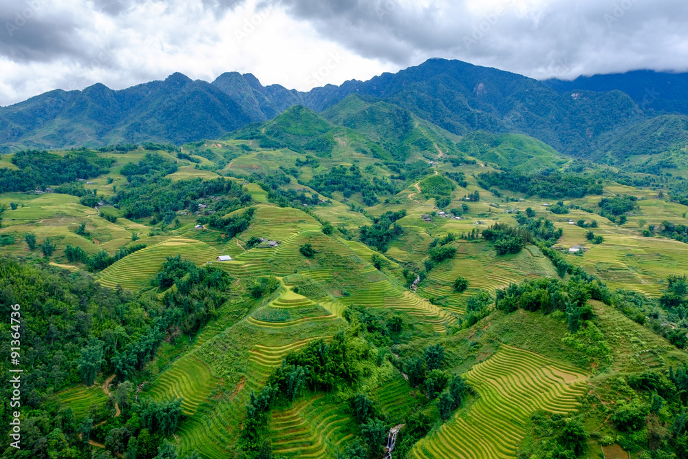Rice fields on terraced in rainy season at SAPA, Lao Cai, Vietna