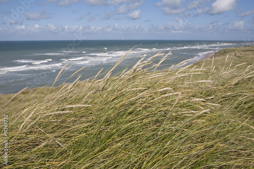 Fototapeta Naklejka Na Ścianę i Meble -  Danish Coastline. Seen through the ubiquitous dune grasses of the northwest coast of denmark, the North Sea coastline seems wild and remote.