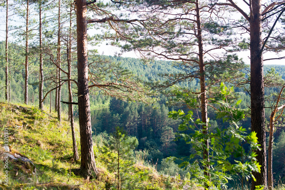 Fototapeta premium Rock River Forest, horizon