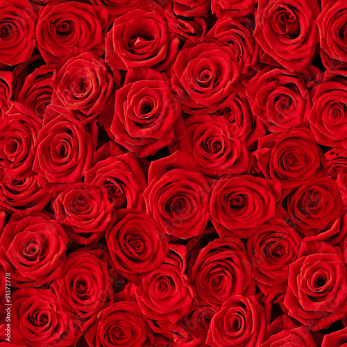Fototapeta Naklejka Na Ścianę i Meble -  Seamless roses background