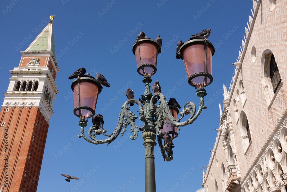 Venedig Tauben auf Laterne