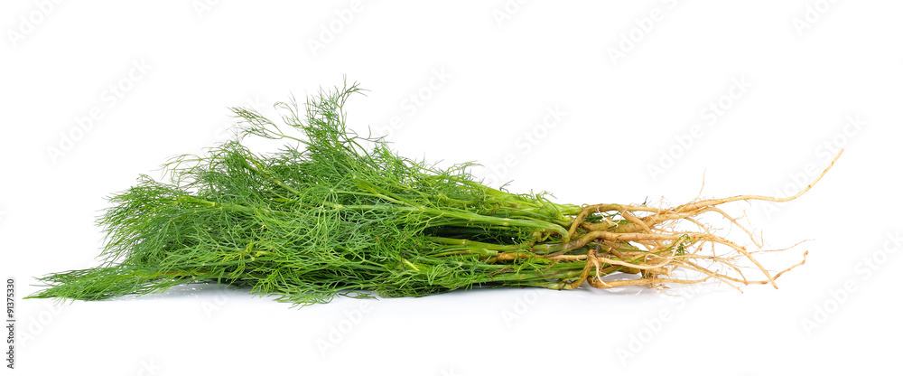 Fototapeta premium dill on white background