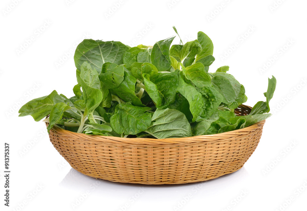 spinach in the basket on white background spinach in the basket on white background