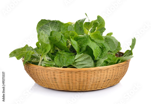 spinach in the basket on white background