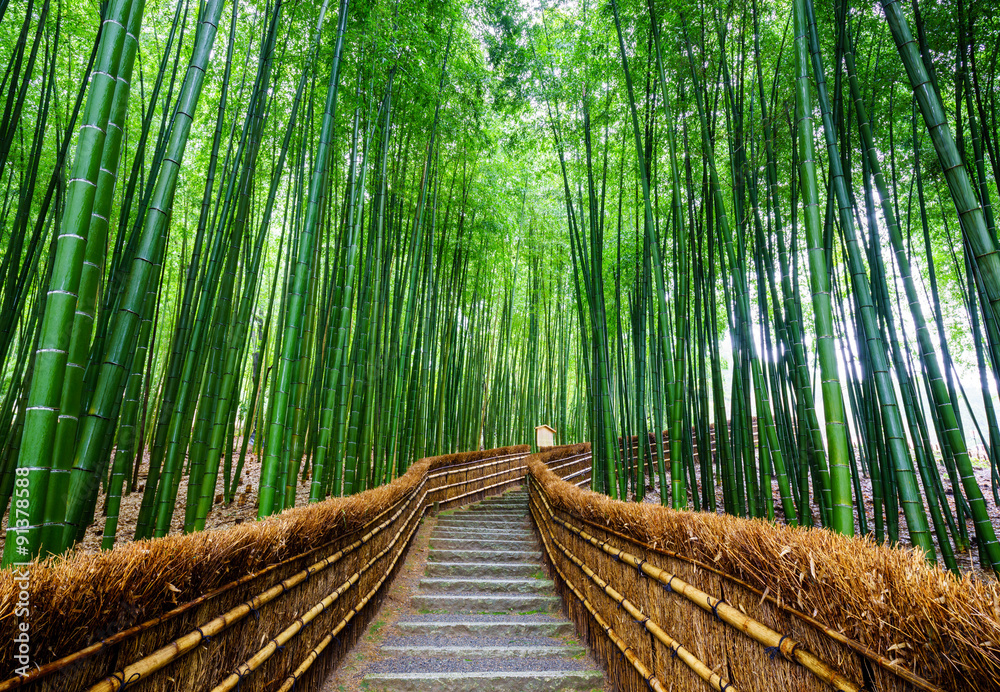 Naklejka premium Ścieżka do bambusowego lasu, Arashiyama, Kyoto, Japonia