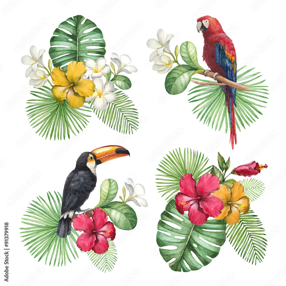 Fototapeta premium Akwarele ilustracje tropikalnych kwiatów i ptaków