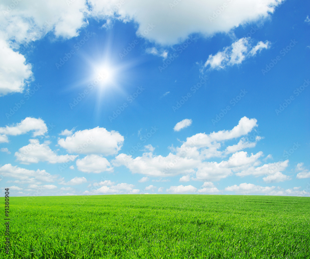 Obraz premium landscape