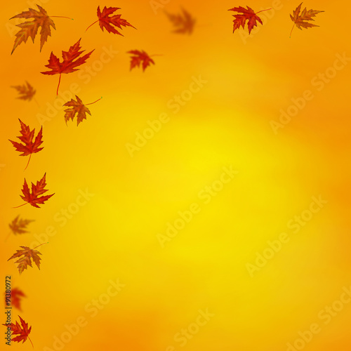 autumn background