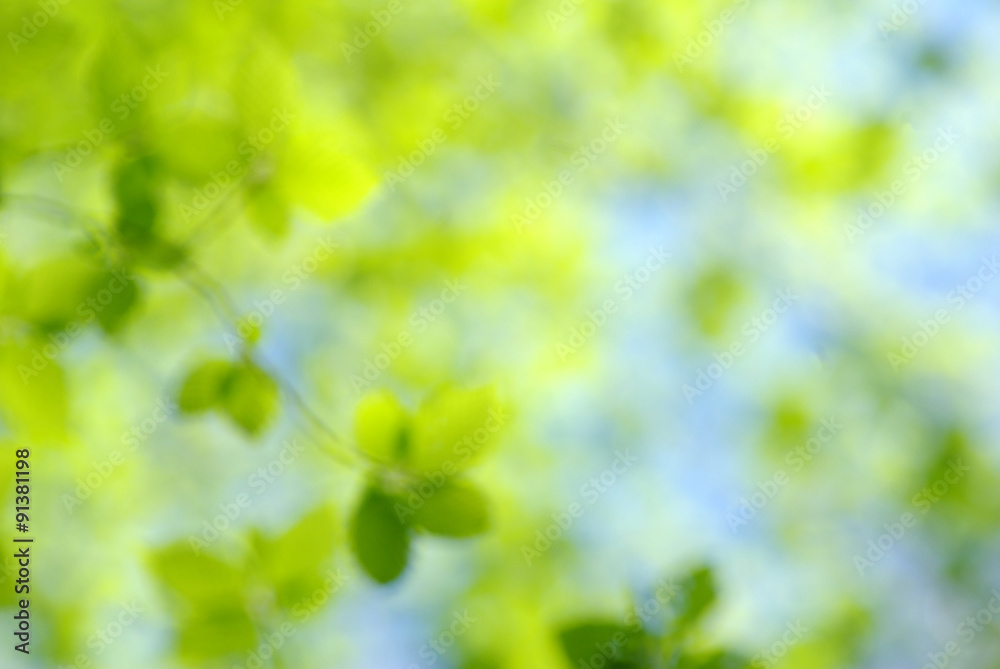 green blurred background. green blurred background.
