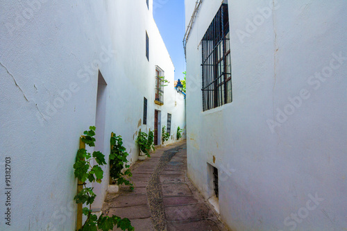 Streets of typical white houses of the city of Cordoba, Spain