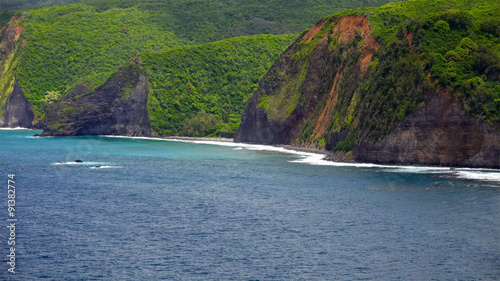 Pacific Ocean Waves Roll Into The Kona Coast on the Big Island  photo