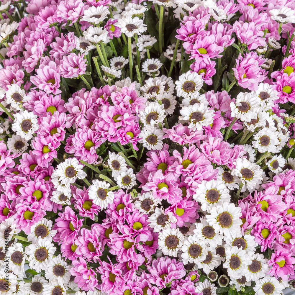 Abstract background of flowers Abstract background of flowers