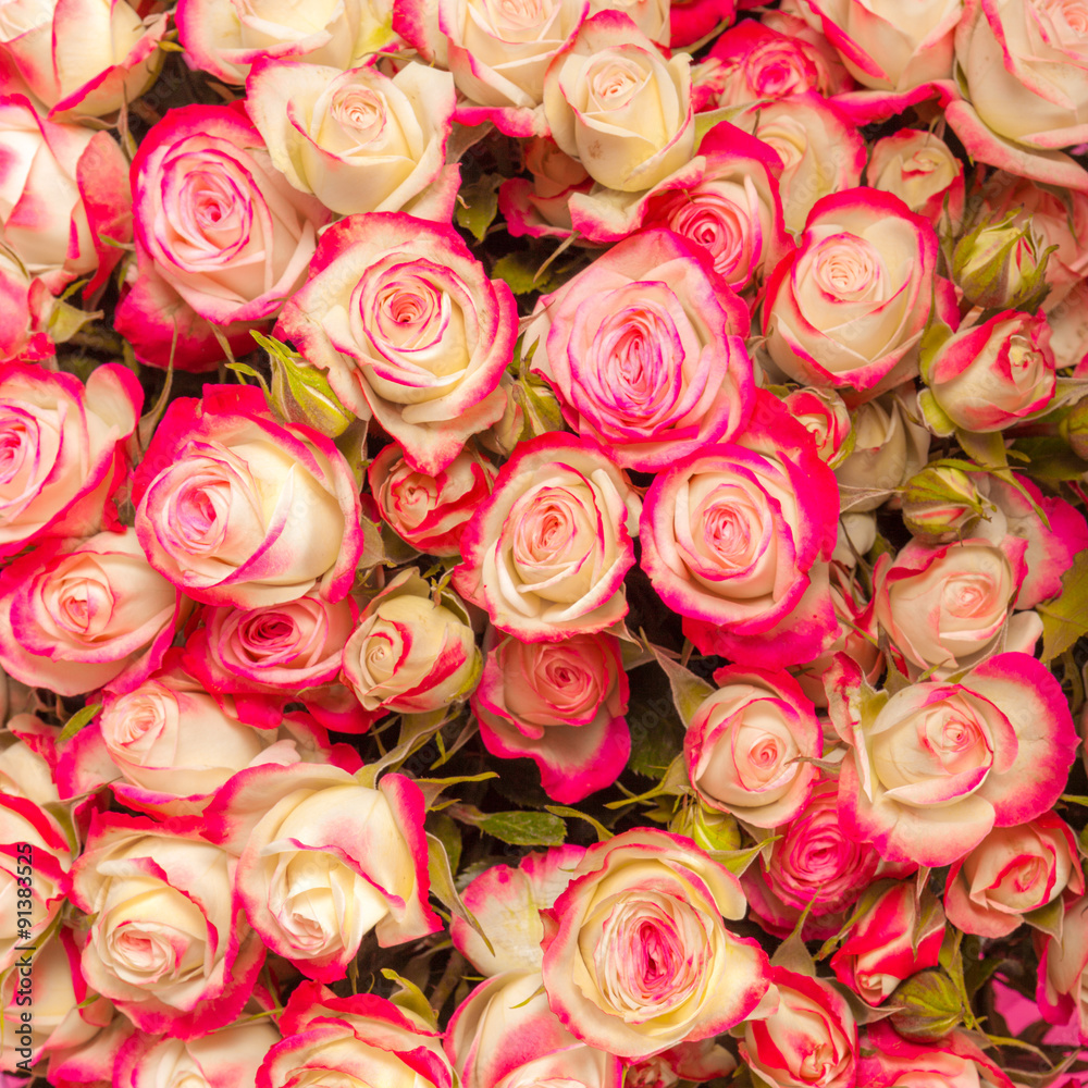 Abstract background of flowers. Close-up.