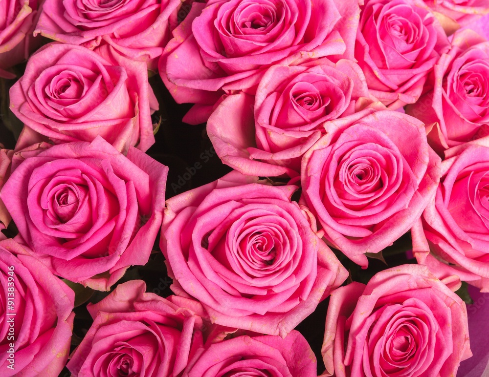 Abstract background of flowers. Close-up. Abstract background of flowers. Close-up.