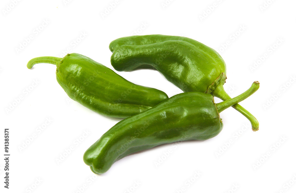 Three green capsicum or sweet pepper on white background Three green capsicum or sweet pepper on white background