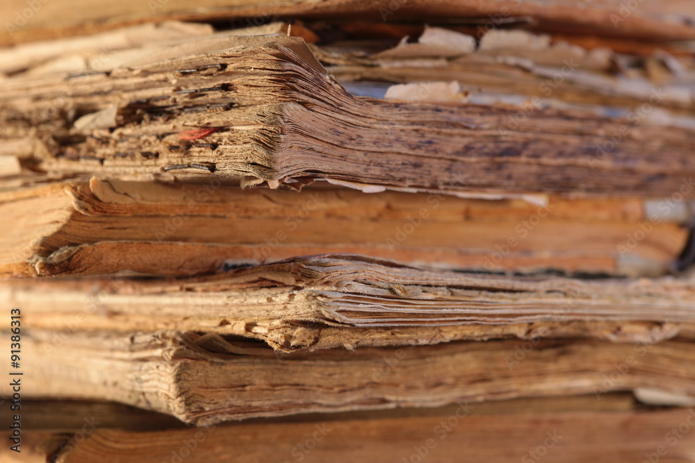 Fototapeta premium Stack of old books