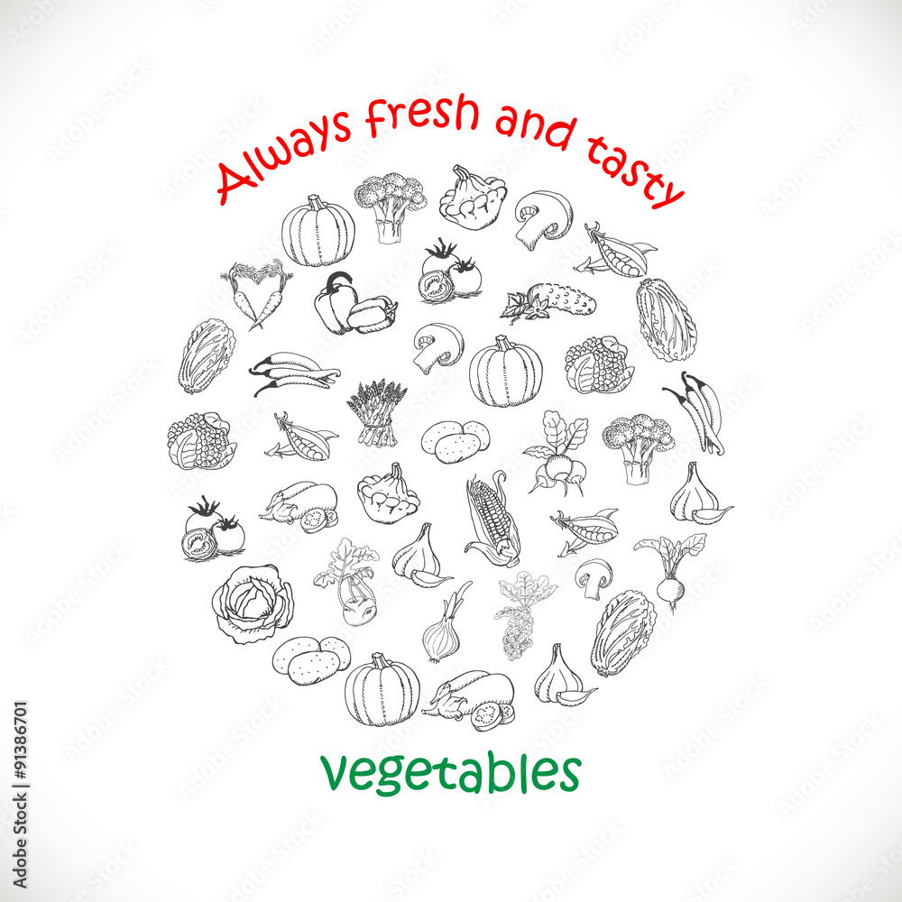 Isolated vegetables in a circle. Vector illustrations