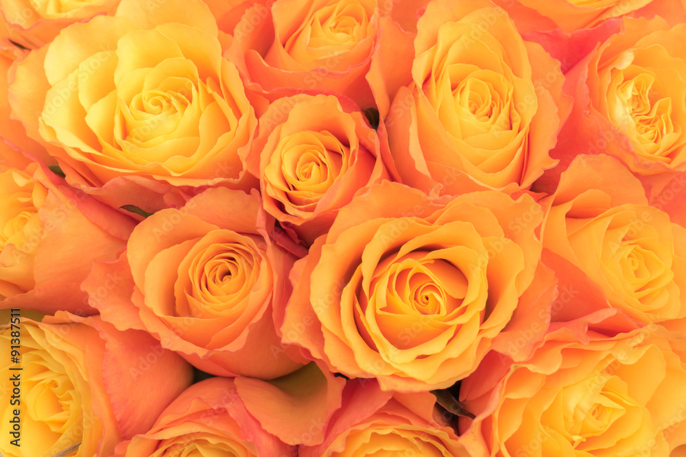 Bunch of Orange Roses Top
