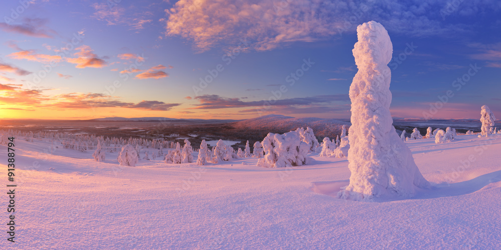 Obraz premium Sunset over frozen trees on a mountain, Levi, Finnish Lapland