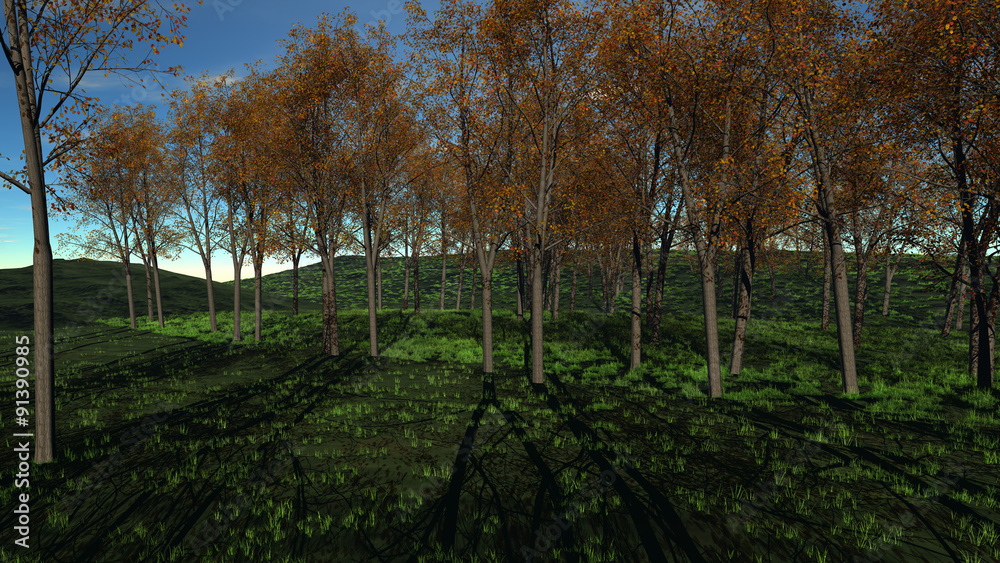 Fototapeta premium A row of trees. The ground under the trees is covered with grass.