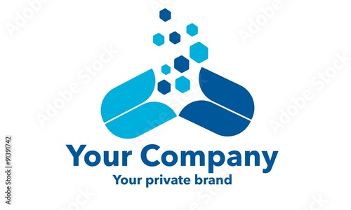 Your Company