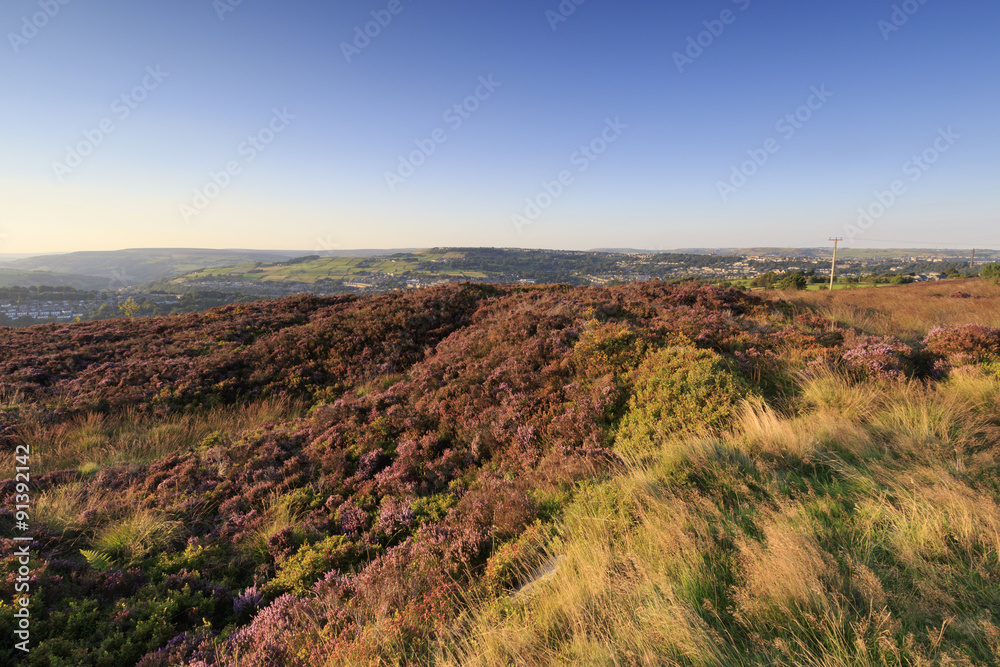 Obraz premium Norland, Halifax, West Yorkshire, UK 10th September, 2015. UK We