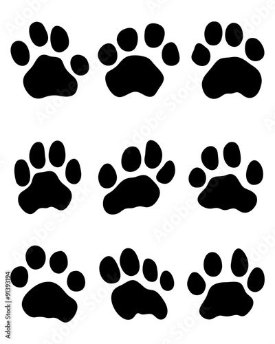 Black print of jaguar's paw, vector