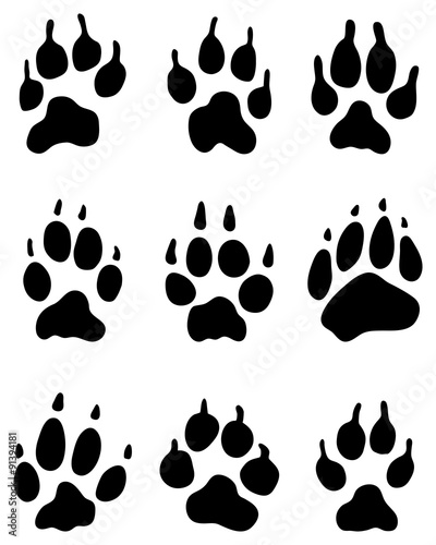 Black print of wolf's paw, vector