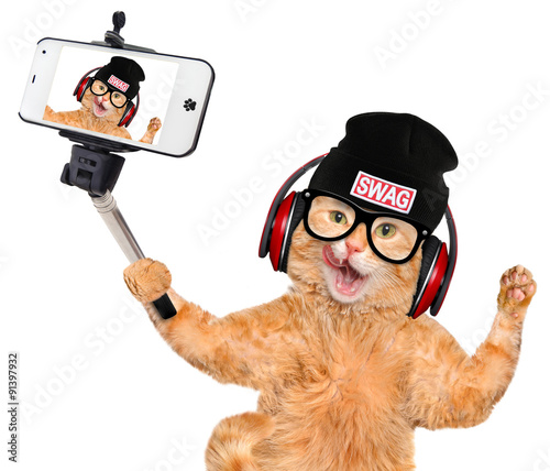 Cat headphones  taking a selfie together with a smartphone.