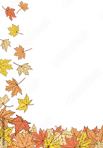 Falling down autumn maple color leaves, vector illustration.