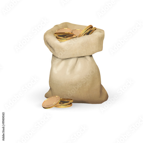 bag of gold coins money vector