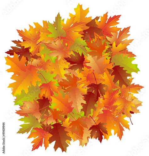 Herbst