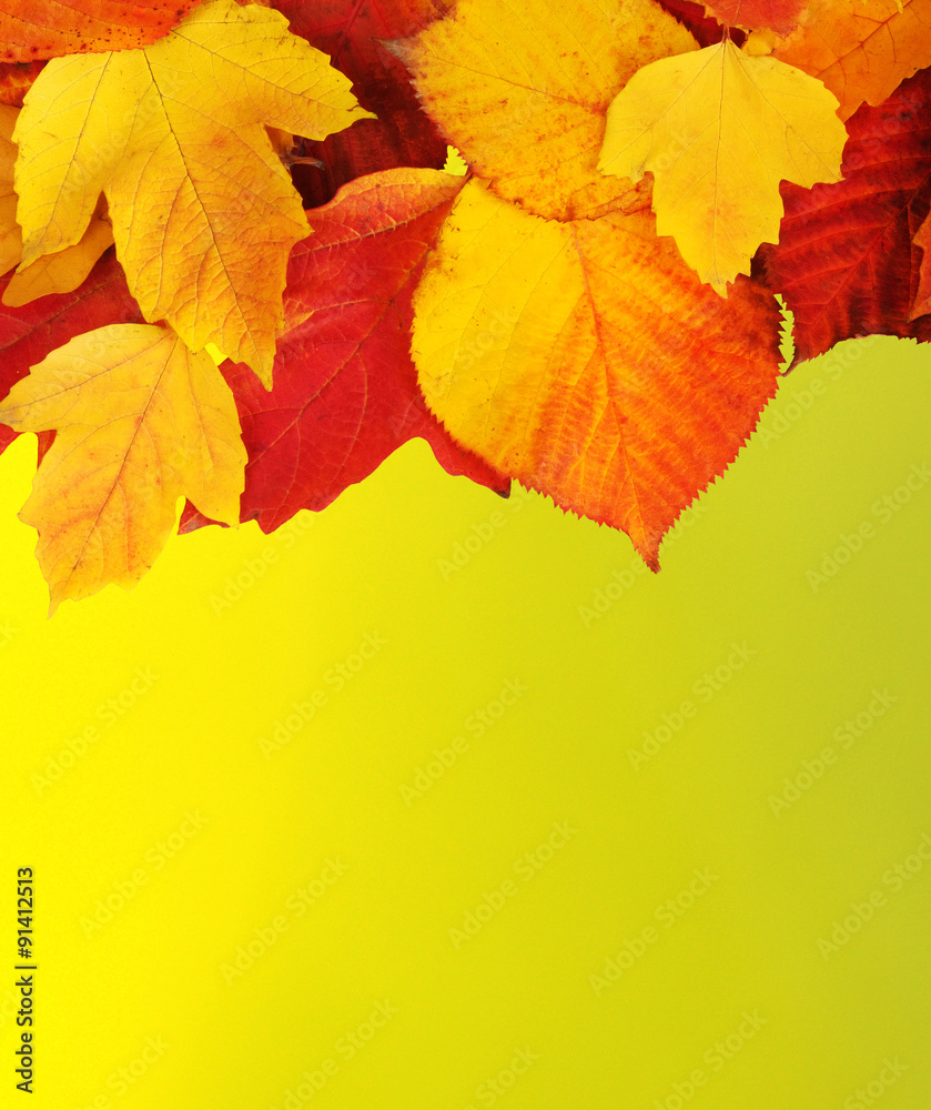 autumn leaves background